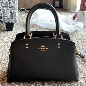 Coach- Mini Lily carryall!